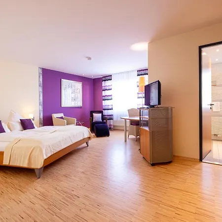Am Froschbaechel Hotel Bühl